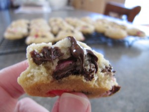 IMG_3573_resize