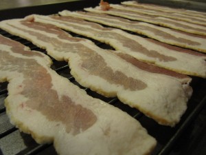 IMG_4011_resize