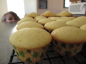 IMG_4523_resize