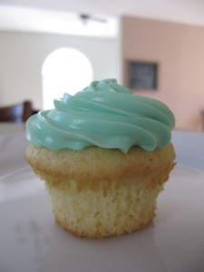 IMG_4541_resize