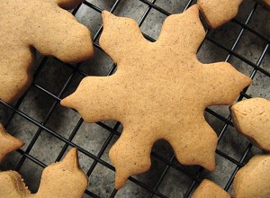gingerbread snowflakes recipe from bakedbyrachel.com