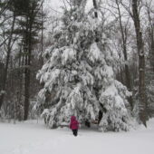 Snow days