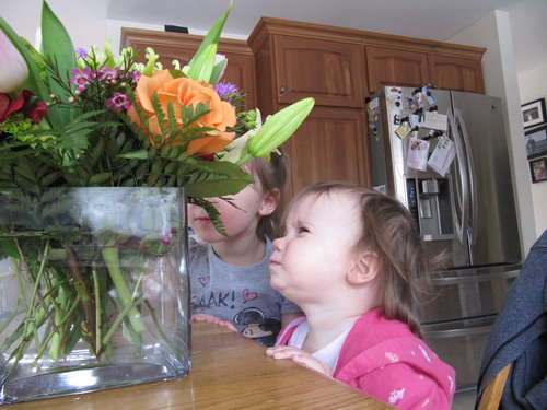 IMG_4047_resize