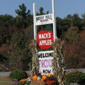 Wordless Wednesday - Mack's Apples