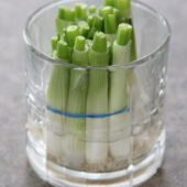 Kitchen Tip: Green Onions
