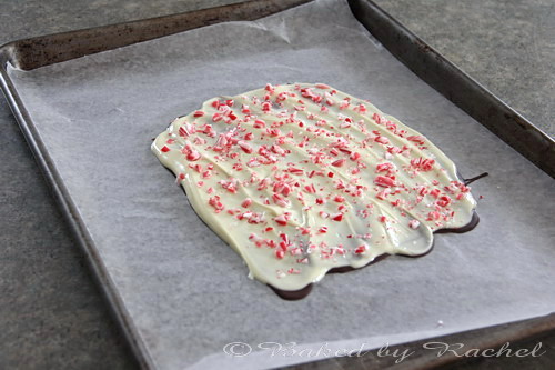Peppermint Bark Cheesecake Recipe from bakedbyrachel.com