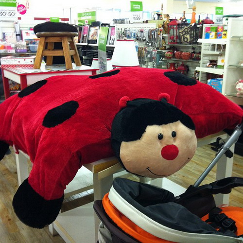 pillow_pet