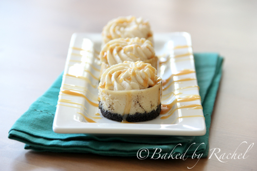 coffee cheesecake with caramel whipped cream - baked by rachel