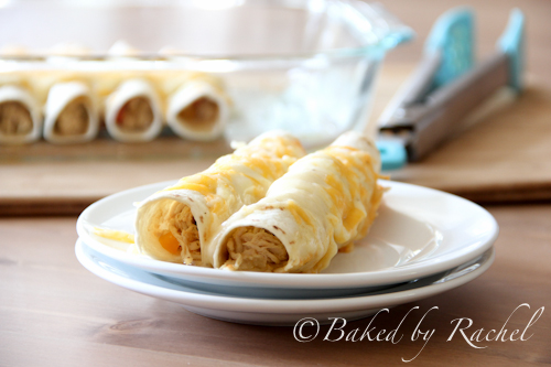white chicken enchiladas - baked by rachel
