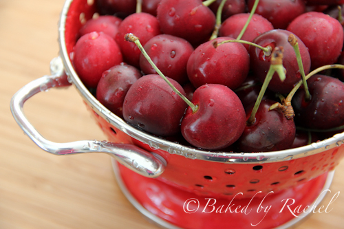 Cherry Fruit Leather - Baked by Rachel