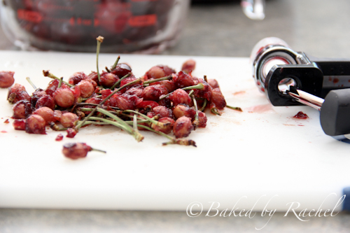 Cherry Fruit Leather - Baked by Rachel