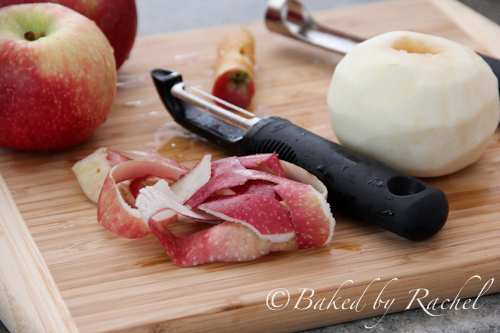 Apple Cinnamon Fruit Leather Recipe - bakedbyrachel.com