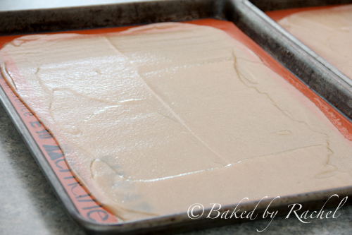 Apple Cinnamon Fruit Leather Recipe - bakedbyrachel.com