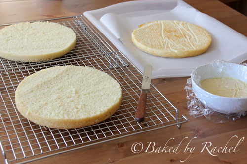 Boston Cream Pie Cheesecake - bakedbyrachel.com