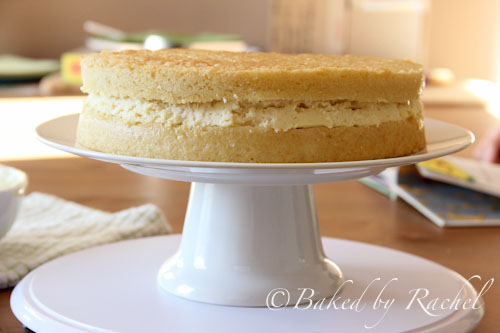 Boston Cream Pie Cheesecake - bakedbyrachel.com