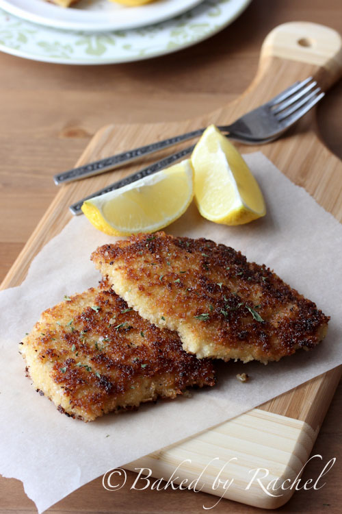 Chicken Schnitzel Recipe - bakedbyrachel.com