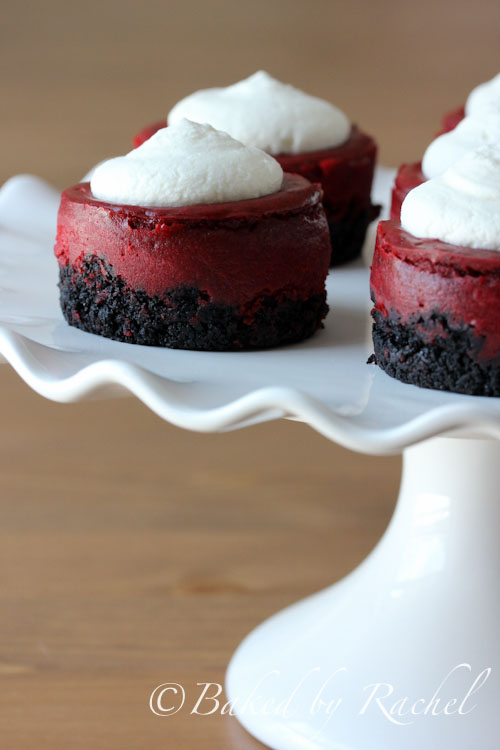 Mini Red Velvet Cheesecake Recipe - bakedbyrachel.com