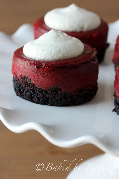 Mini Red Velvet Cheesecake Recipe - bakedbyrachel.com