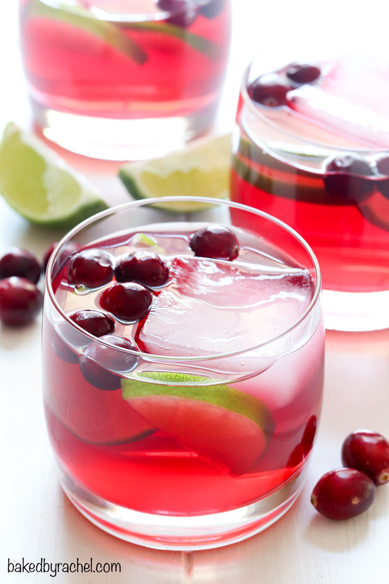 Cranberry Margaritas with 40 other Cocktail and Appetizer Recipes to get your party started!